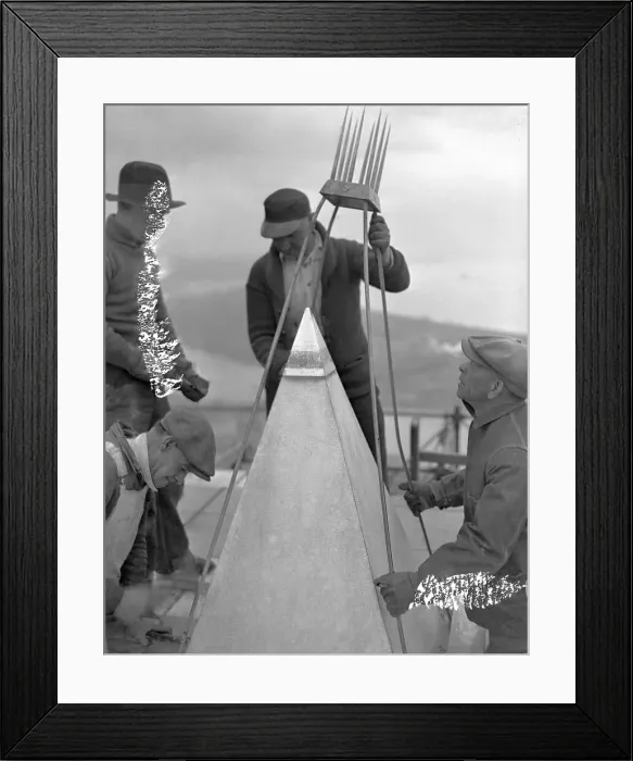 Framed Print : Workers Inserting Rods on Tip of Washington Monument Framed Print : Workers Inserting Rods on Tip of Washington Monument