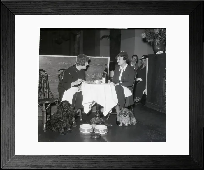 Framed Print : Dogs Go To Fashionable Lunch Framed Print : Dogs Go To Fashionable Lunch