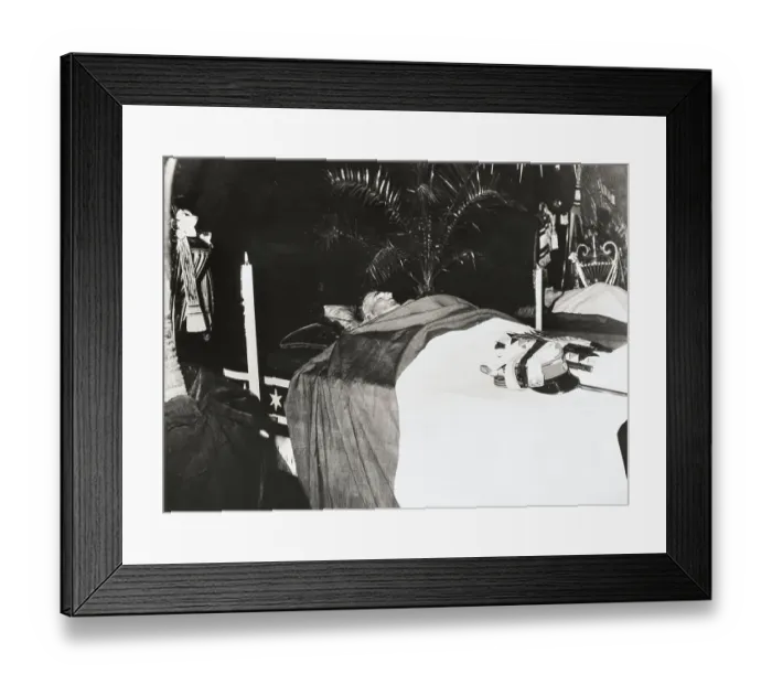 Framed Print : The Bodies of King Alexander and Jean-Louis Barthou