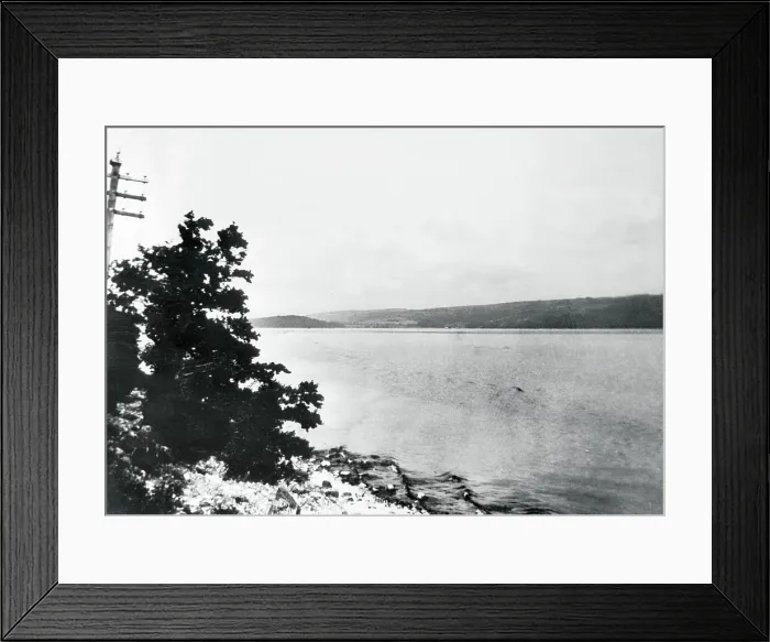 Framed Print : Alleged Image of Loch Ness Monster Framed Print : Alleged Image of Loch Ness Monster