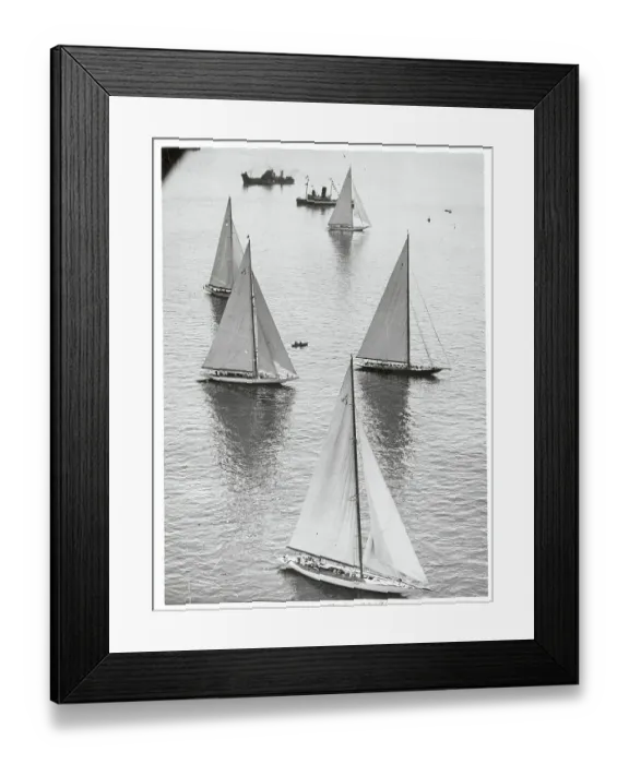Framed Print : Shamrock Winning Yacht Race Framed Print : Shamrock Winning Yacht Race