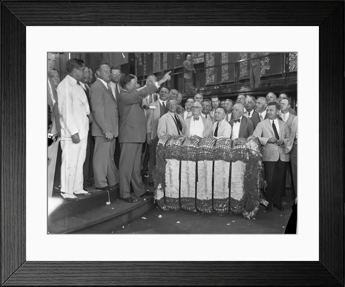 Framed Print : King Cotton's Ransom Framed Print : King Cotton's Ransom