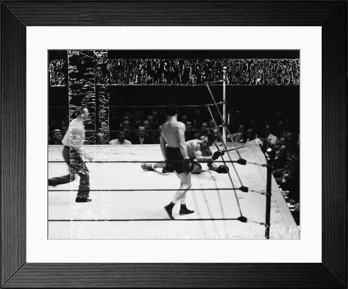 Framed Print : Fallen Primo Carnera Looks @Max Baer Framed Print : Fallen Primo Carnera Looks @Max Baer