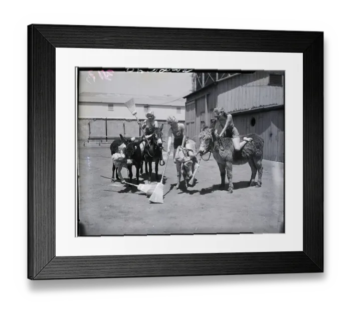 Framed Print : Lucille Ball and Actresses on Mules Playing Game Framed Print : Lucille Ball and Actresses on Mules Playing Game