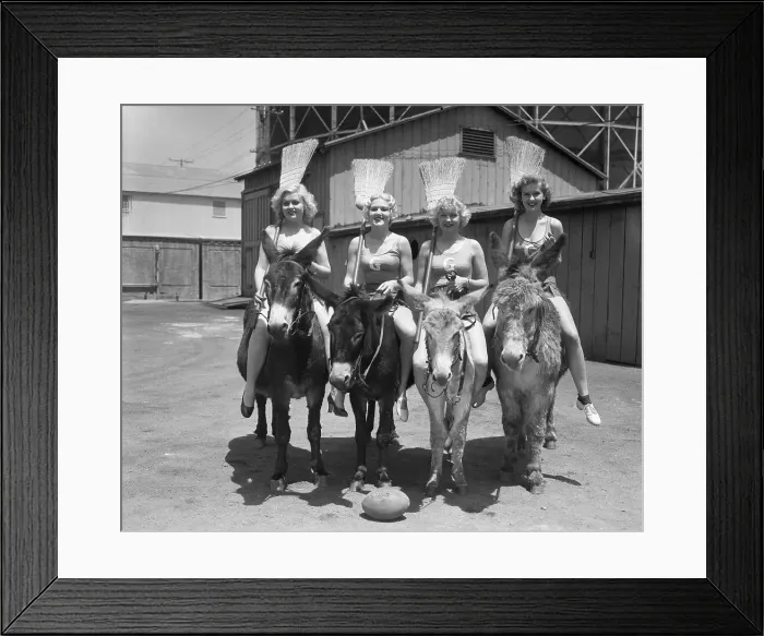 Framed Print : Celebrities Riding Donkeys Framed Print : Celebrities Riding Donkeys