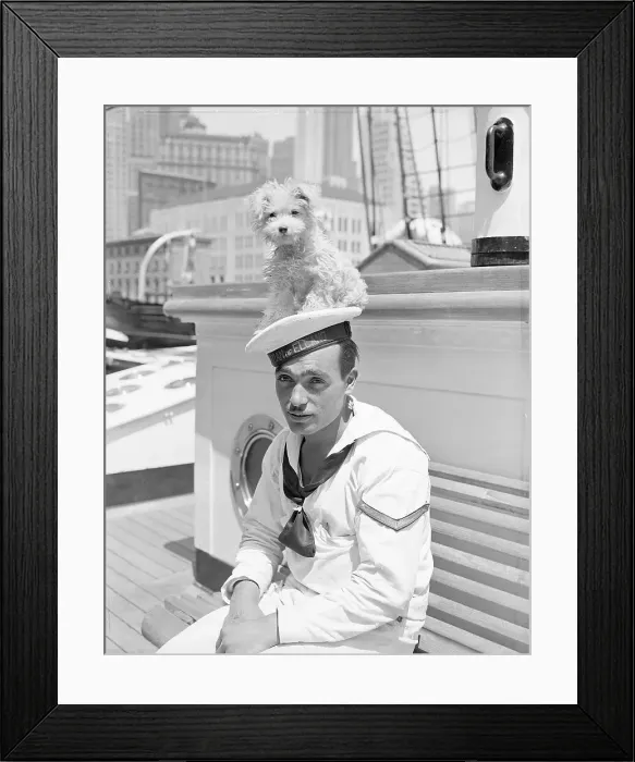 Framed Print : Dog atop Sailor's Hat Framed Print : Dog atop Sailor's Hat