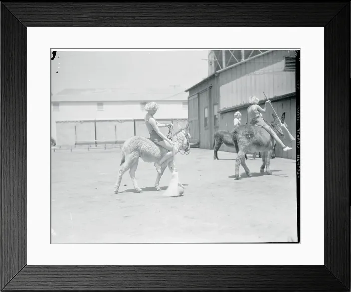 Framed Print : Lucille Ball and Others Riding Donkeys Framed Print : Lucille Ball and Others Riding Donkeys