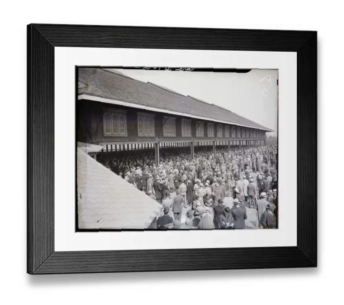 Framed Print : A Crowd Of Betters At Betting Shed Framed Print : A Crowd Of Betters At Betting Shed