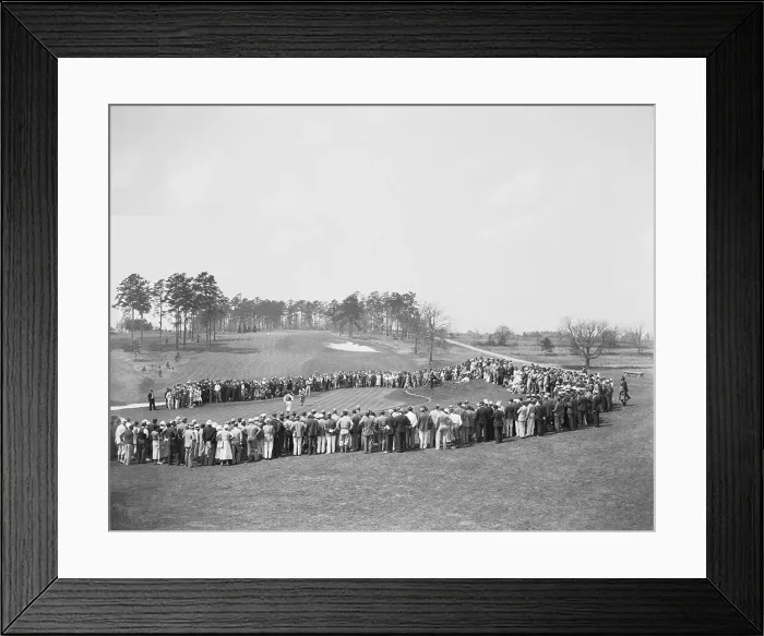 Framed Print : Crowd Watching a Golf Tournament Framed Print : Crowd Watching a Golf Tournament