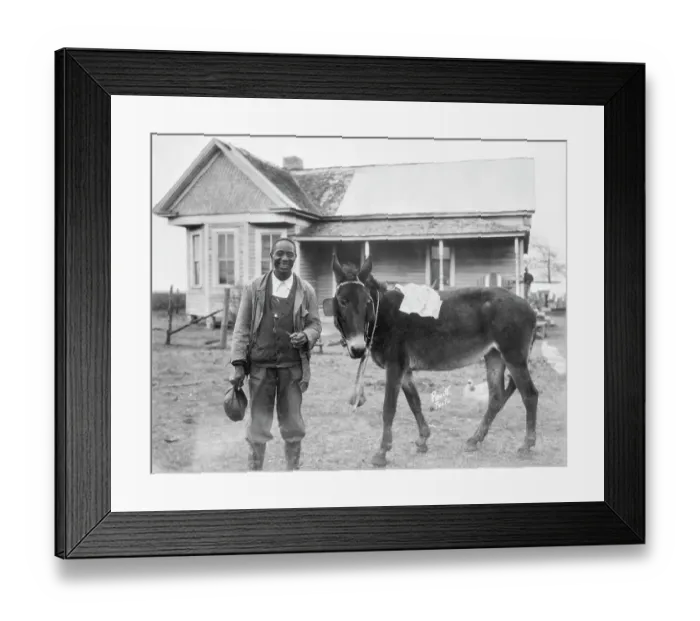 Framed Print : Sylvester Harris Framed Print : Sylvester Harris