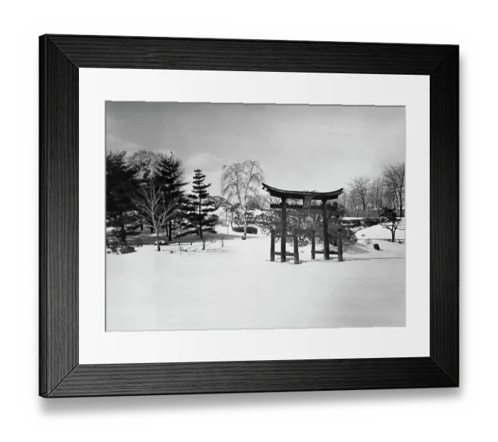 Framed Print : Brooklyn Botanic Garden, New York City Framed Print : Brooklyn Botanic Garden, New York City