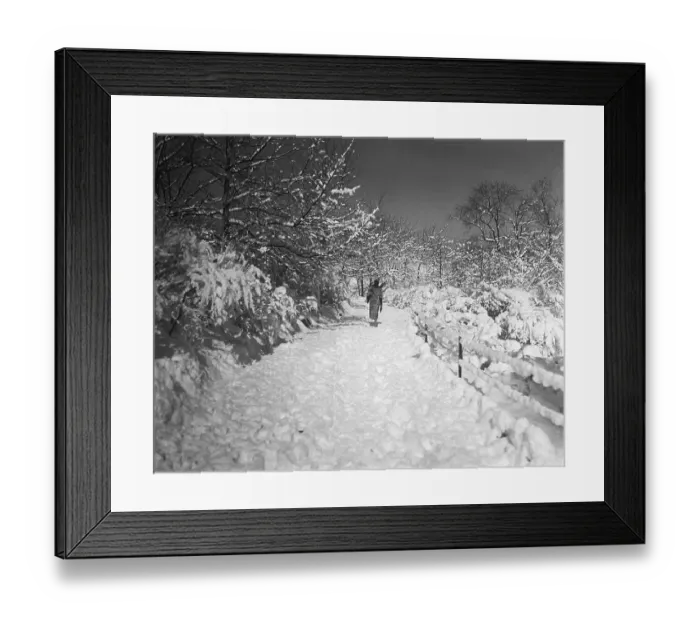 Framed Print : Snow-Covered Path In Central Park Framed Print : Snow-Covered Path In Central Park