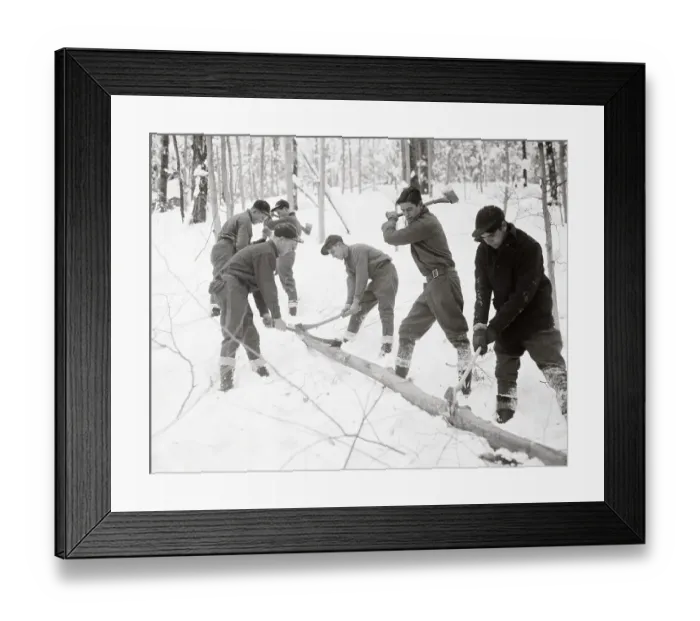 Framed Print : Men Cutting Woodlands Framed Print : Men Cutting Woodlands