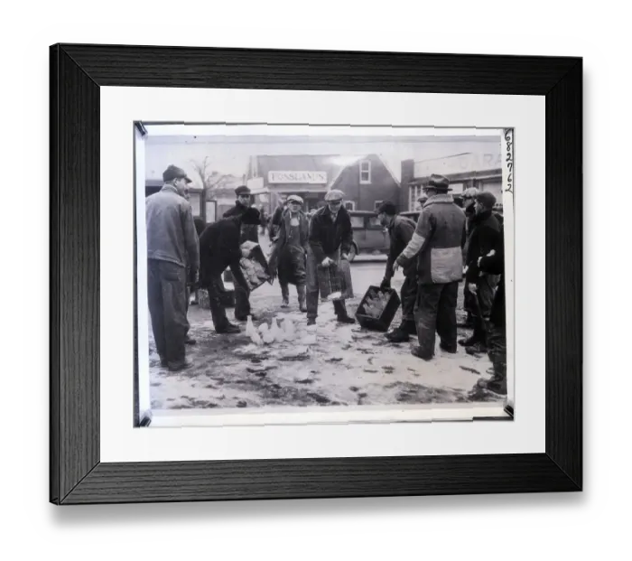 Framed Print : Striking Milk Workers Break Bottles of Milk Framed Print : Striking Milk Workers Break Bottles of Milk