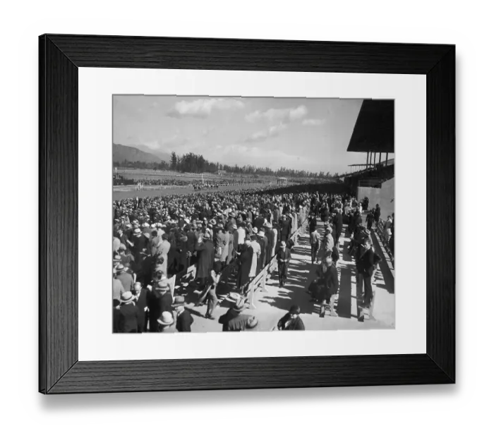 Framed Print : Crowd Watching Horse Racing Framed Print : Crowd Watching Horse Racing