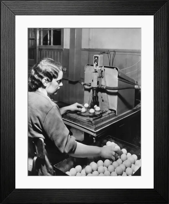 Framed Print : Woman Operates Rabbit Golf Ball Machine Framed Print : Woman Operates Rabbit Golf Ball Machine