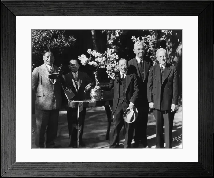 Framed Print : Japanese Cherry Tree Planting In L.A Framed Print : Japanese Cherry Tree Planting In L.A