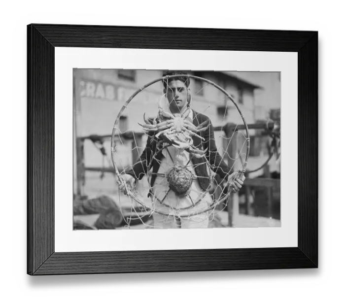 Framed Print : Fisherman Displaying Crabs in Net Framed Print : Fisherman Displaying Crabs in Net