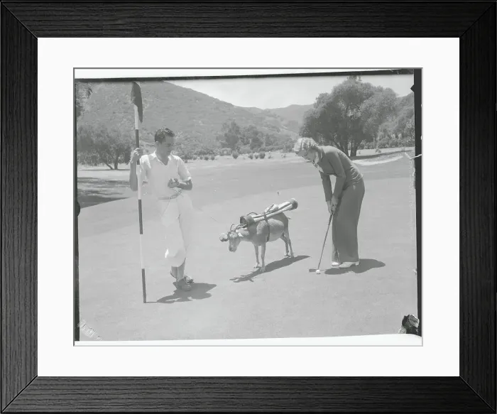 Framed Print : Golfers with Goat Caddie Framed Print : Golfers with Goat Caddie
