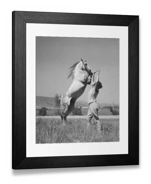 Framed Print : Woman Training Horse Framed Print : Woman Training Horse