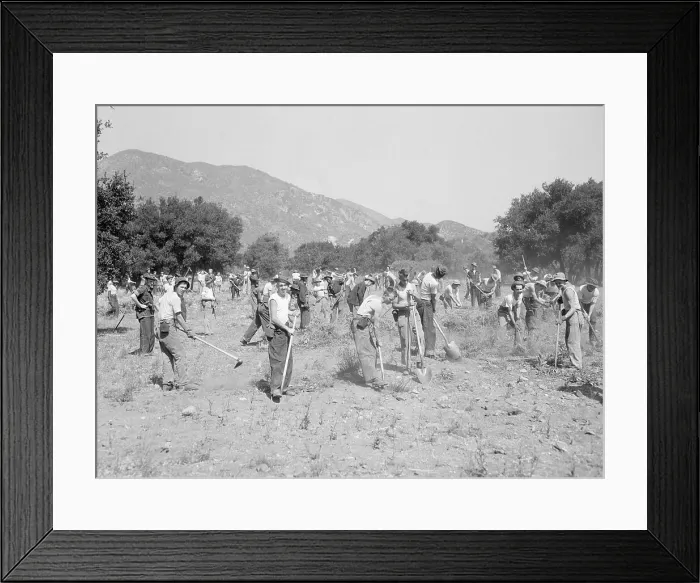 Framed Print : Men Working at Reforestation Camp Framed Print : Men Working at Reforestation Camp