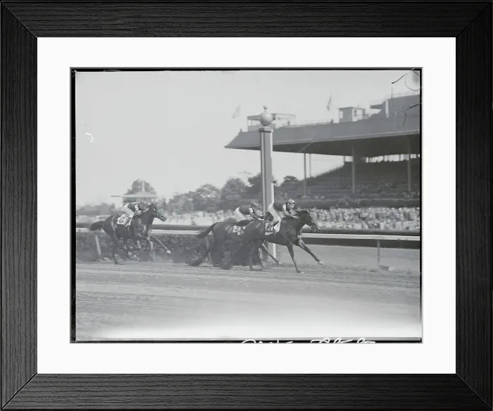 Framed Print : Horses Racing at Belmont Framed Print : Horses Racing at Belmont