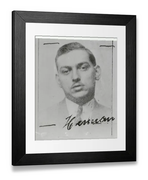 Framed Print : Saboteur Herman Neubauer Framed Print : Saboteur Herman Neubauer