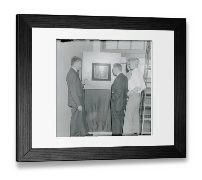 Framed Print : Charles Johnson Explaining Cell Activation to Friends Framed Print : Charles Johnson Explaining Cell Activation to Friends