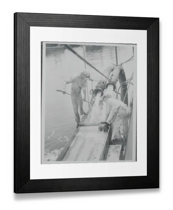 Framed Print : Workers Using Gold Digging Machinery on Waters Edge Framed Print : Workers Using Gold Digging Machinery on Waters Edge