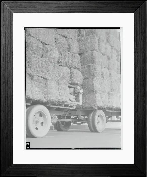 Framed Print : Driver Sleeping in Hay Truck Framed Print : Driver Sleeping in Hay Truck