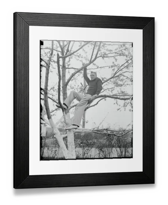 Framed Print : Seaman Watson Sitting in Tree Framed Print : Seaman Watson Sitting in Tree