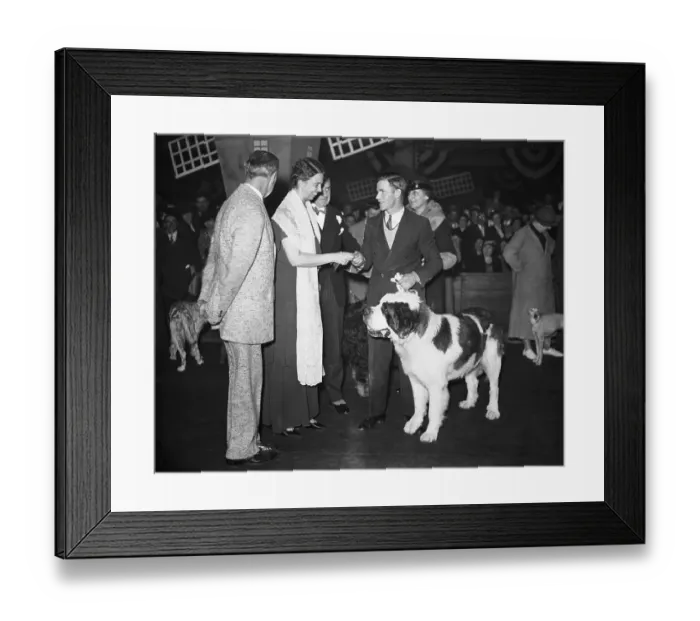 Framed Print : Eleanor Roosevelt Gives Ribbon at Dog Show Framed Print : Eleanor Roosevelt Gives Ribbon at Dog Show