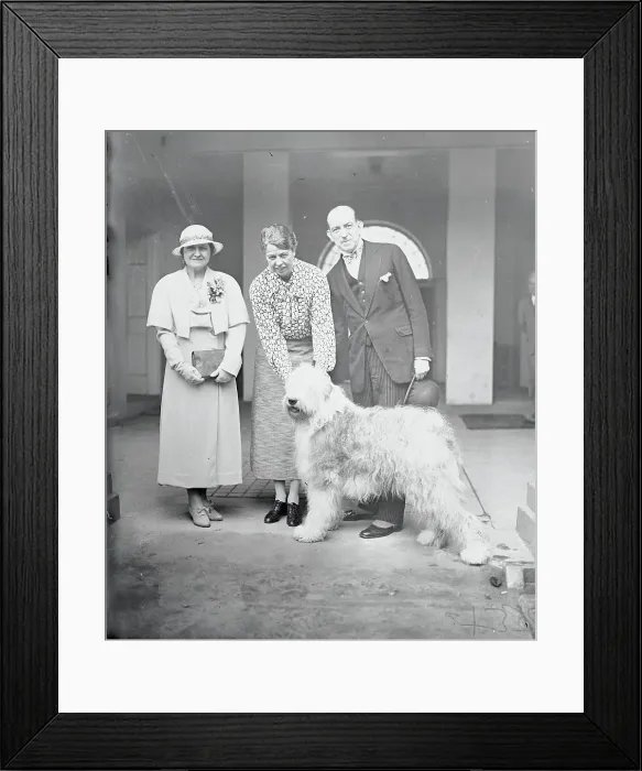 Framed Print : Eleanor Roosevelt Receiving Dog Framed Print : Eleanor Roosevelt Receiving Dog