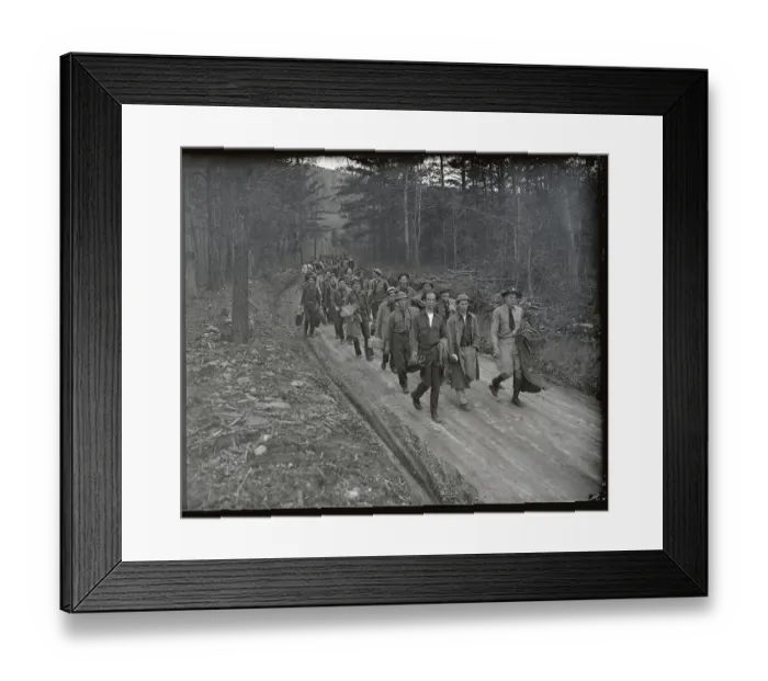 Framed Print : Forest Army Working Framed Print : Forest Army Working