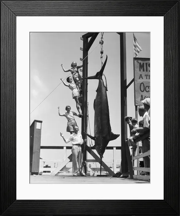 Framed Print : Alphonse Hemann Poses with Giant Swordfish Framed Print : Alphonse Hemann Poses with Giant Swordfish