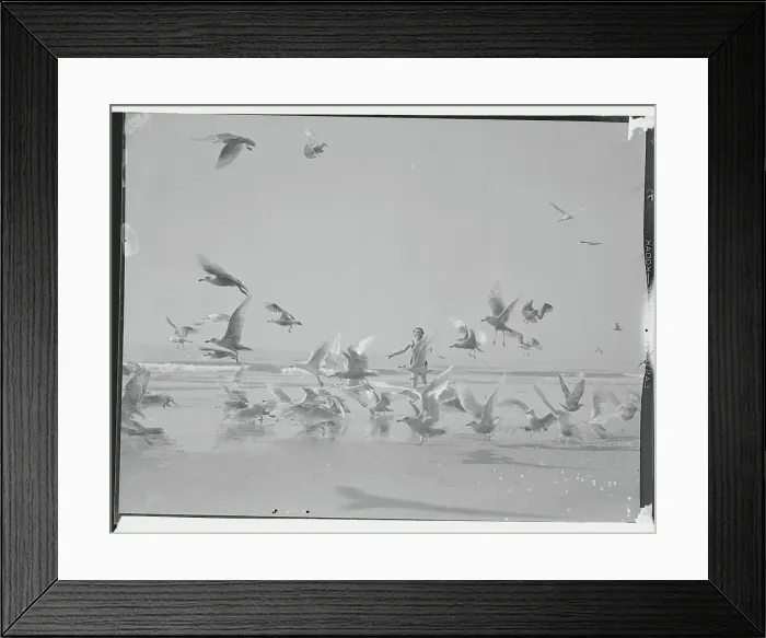 Framed Print : Dancer Joan Fairfield Dancing with Seagulls Framed Print : Dancer Joan Fairfield Dancing with Seagulls