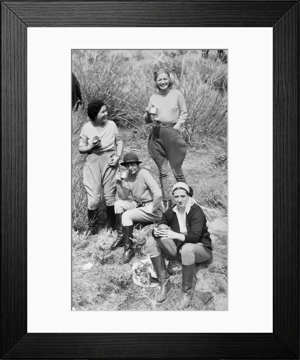 Framed Print : Divorcees Attending a Picnic Party Framed Print : Divorcees Attending a Picnic Party