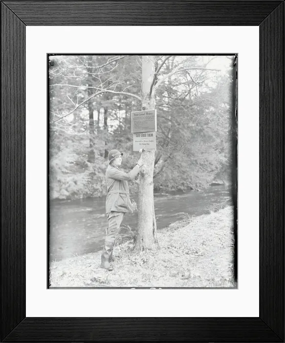 Framed Print : Female Game Warden Posting Sign Framed Print : Female Game Warden Posting Sign