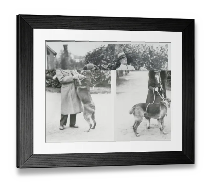 Framed Print : Sir and Mrs. Malcolm Campbell Framed Print : Sir and Mrs. Malcolm Campbell