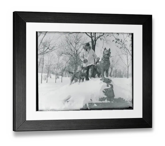 Framed Print : Harry Wheeler and His Dog by Statue Dedicated to Hero Dog Framed Print : Harry Wheeler and His Dog by Statue Dedicated to Hero Dog