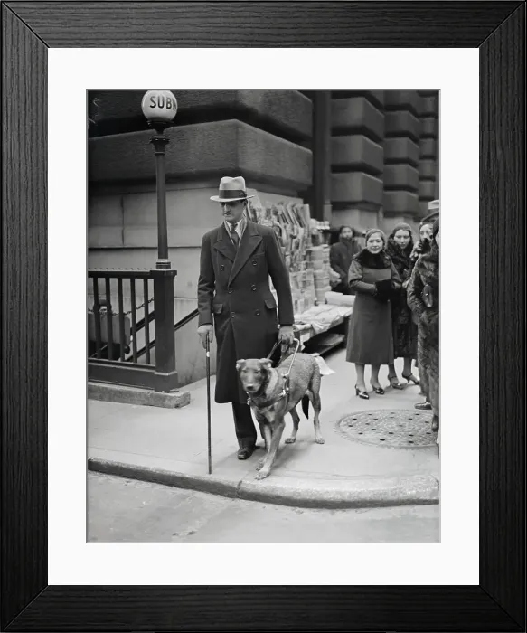 Framed Print : Seeing Eye Dog Leading Man in New York City