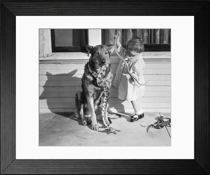 Framed Print : Girl Playing with Snakes Alongside Her Dog Framed Print : Girl Playing with Snakes Alongside Her Dog