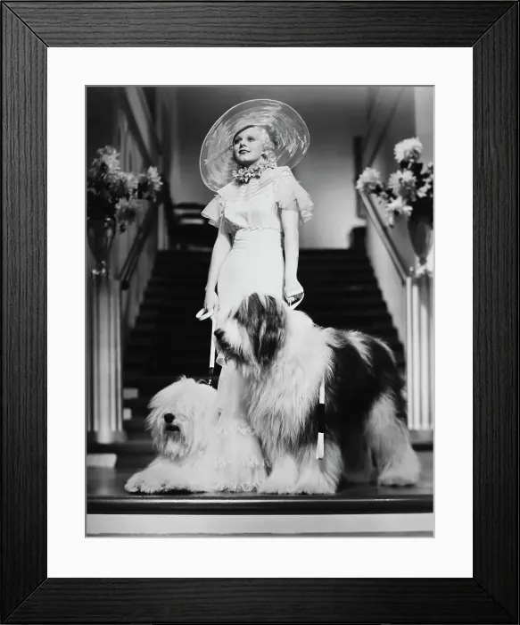 Framed Print : Portrait of Jean Harlow with Old English Sheep Dogs Framed Print : Portrait of Jean Harlow with Old English Sheep Dogs