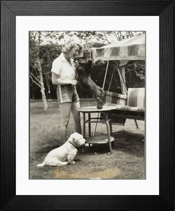 Framed Print : Actress Bette Davis in Shorts and Playing With Dog Outside Her Home Framed Print : Actress Bette Davis in Shorts and Playing With Dog Outside Her Home