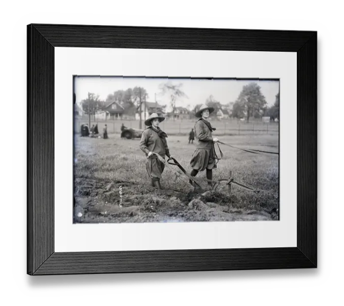 Framed Print : Vassar College Girls Driving Horses Framed Print : Vassar College Girls Driving Horses