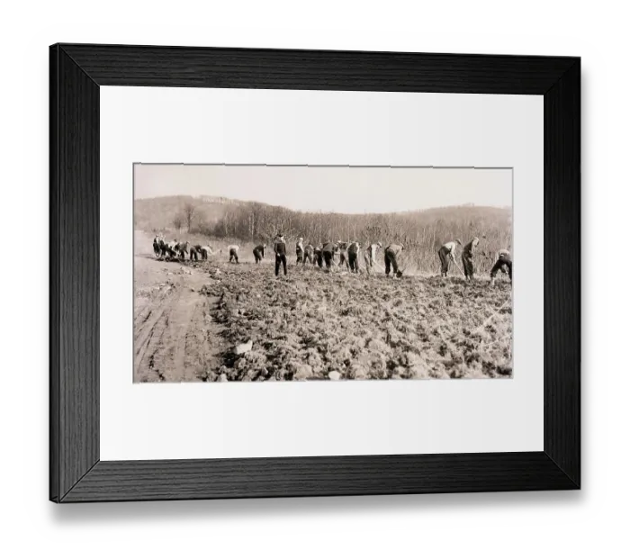 Framed Print : Workers at Blauvelt Camp Framed Print : Workers at Blauvelt Camp