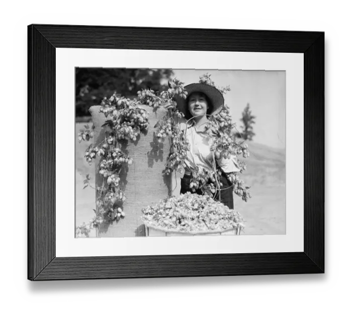 Framed Print : Queen Of Hops With Bale Of Hops Framed Print : Queen Of Hops With Bale Of Hops