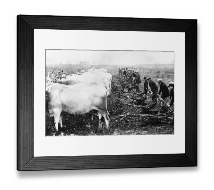 Framed Print : Ploughmen at Work Framed Print : Ploughmen at Work