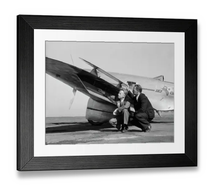 Framed Print : Inspecting Wing Fins Used As Breaks