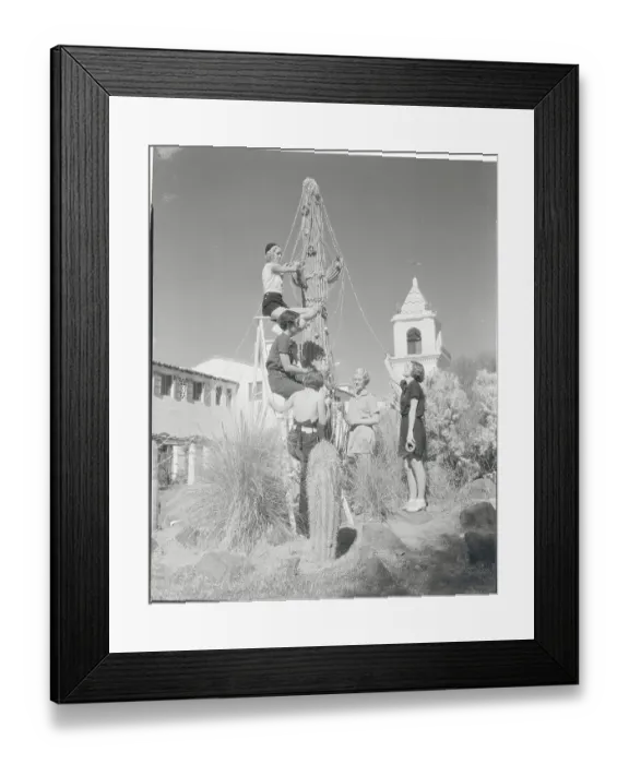 Framed Print : Youngsters Decorating Outdoor Cactus as Christmas Tree Framed Print : Youngsters Decorating Outdoor Cactus as Christmas Tree